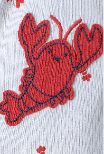 Carters Erkek Bebek Kısa Tulum 1V070610 Mavi