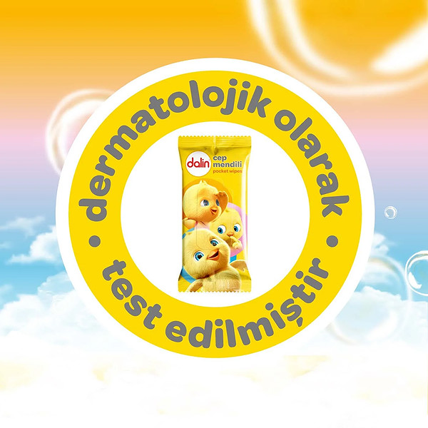 Dalin Klasik Islak Cep Mendil 3X15 Adet