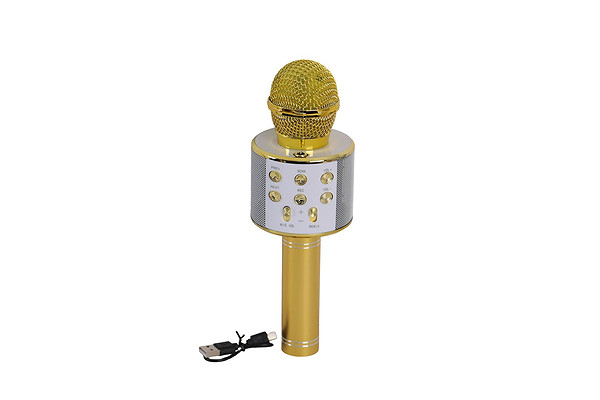 Emr-101 Kutulu Karaoke Mikrofon