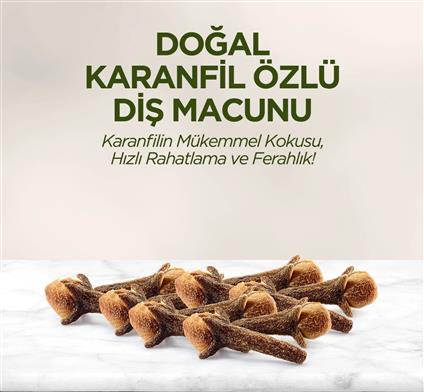 Eyüp Sabri Tuncer Doğal Diş Macunu 90 Gr Karanfil