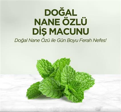 Eyüp Sabri Tuncer Doğal Diş Macunu 90 Gr Nane Özlü