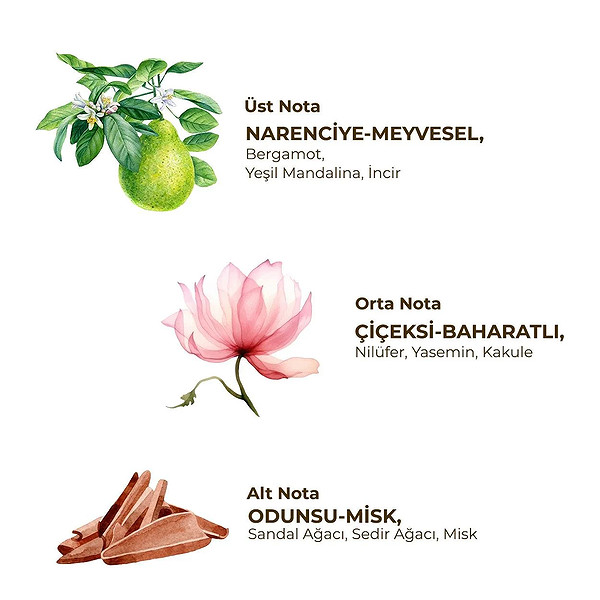 Eyüp Sabri Tuncer Kadın Roll On Deodorant 75 Ml Active