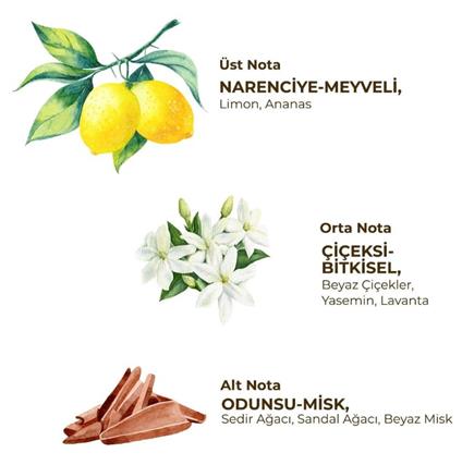 Eyüp Sabri Tuncer Kadın Roll On Deodorant 75 Ml Fresh