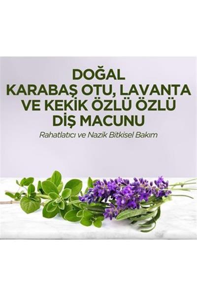 Eyüp Sabri Tuncer Doğal Diş Macunu 90 Gr Karabaş Otu & Lavanta Ve Kekik Özlü