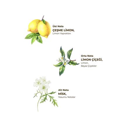Eyüp Sabri Tuncer Kolonya Pet Şişe Sprey 150 Ml Çeşme Limonu