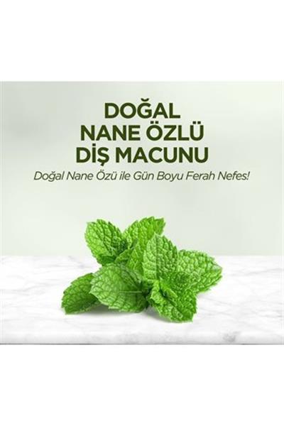 Eyüp Sabri Tuncer Doğal Diş Macunu 90 Gr Nane Özlü