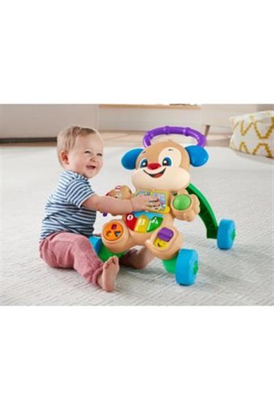 Fisher Price Eğitici Köpekçik Yürüteç (Türkçe) Ftg10