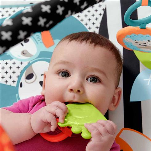 Hbp41 Fisher-Price® Neşeli Hayvanlar 3Ü1 Arada Jimnastik Merkezi