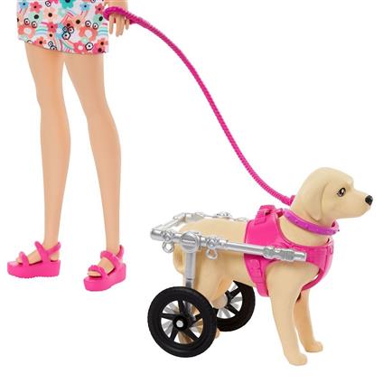Htk37 Barbie Ve Engelli Köpeği Oyun Seti