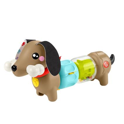 Htw91 Fisher-Price Köpekçikle Eğlenceli Aktiviteler