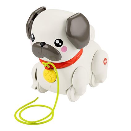 Htw94 Fisher-Price  Minik Dostumla Yürüyüş