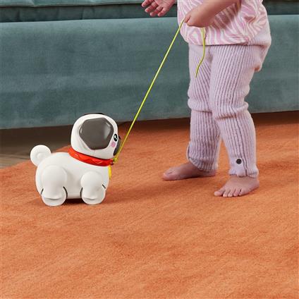 Htw94 Fisher-Price  Minik Dostumla Yürüyüş