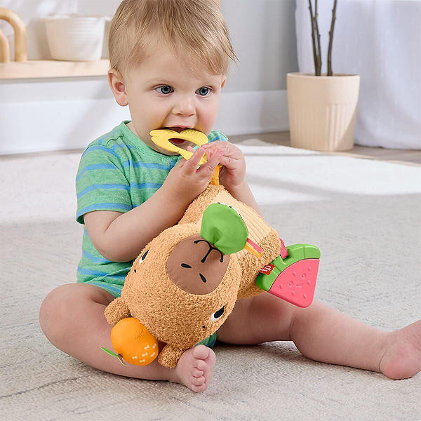 Hyr54 Ffisher-Price Yumuşak Kapibara