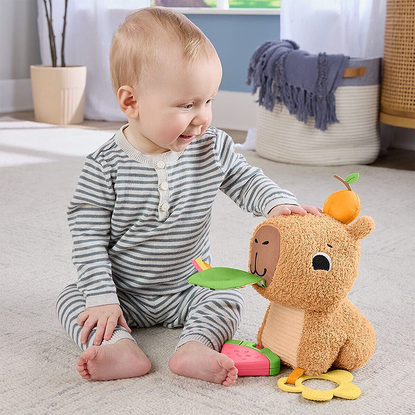 Hyr54 Ffisher-Price Yumuşak Kapibara