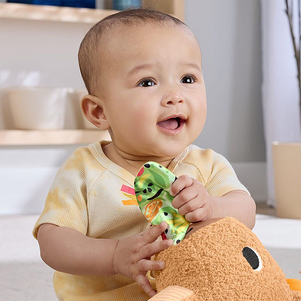 Hyr54 Ffisher-Price Yumuşak Kapibara