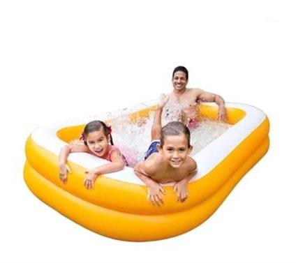 İntex Aile Boyu 2 Bölme Havuz 229Cm 57181 Çok Renkli