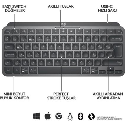 Logıtech MX Keys Mını Mınımalıst Kablosuz Bluetooth Aydınlatmalı Q TR Klavye Siyah 920-010504