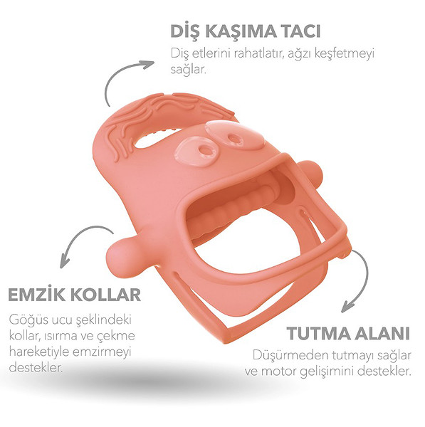 Mochi Diş Kaşıyıcı Somon