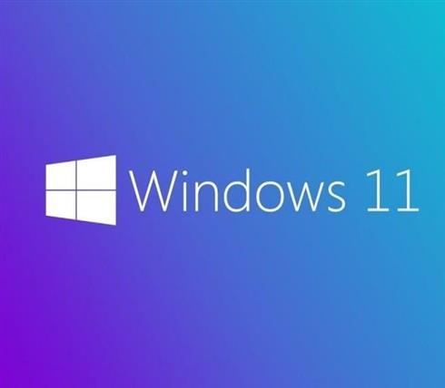 Microsoft Windows 11 Pro 64-Bit İngilizce Oem Lisans Fqc-10528