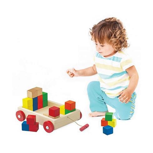 Playwood Ahşap Renkli Küp Bloklu Araba 312