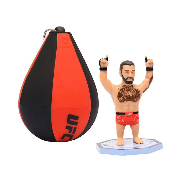 Pmı/Ufc2009