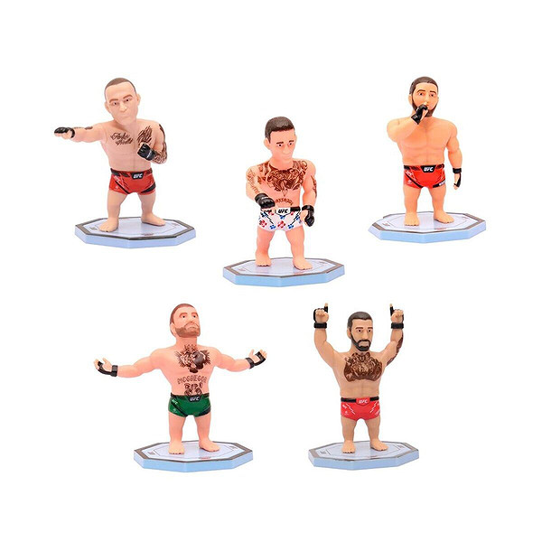 Pmı/Ufc2009