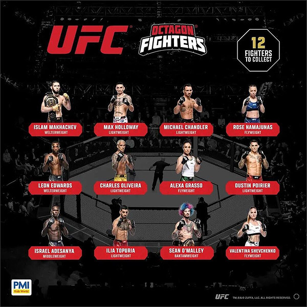 Pmı/Ufc2009