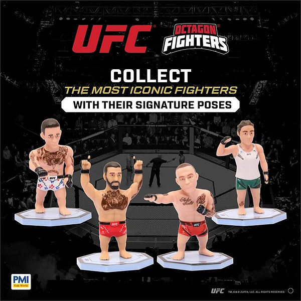 Pmı/Ufc2009