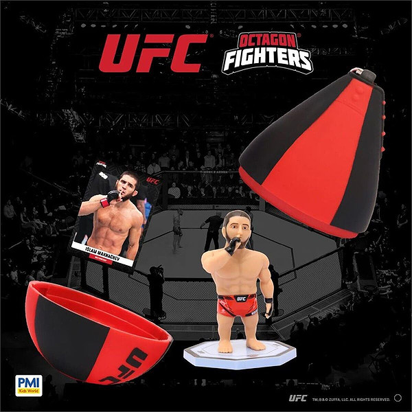 Pmı/Ufc2009