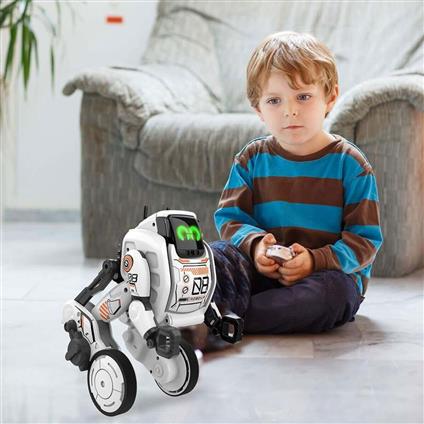 Sıl/88050 Silverlit Uzaktan Kumandalı Robo Up